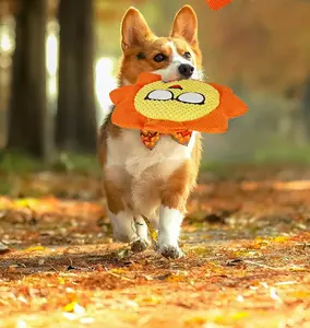 Custom Little Sun Frisbee Side Dog Golden Retriever Teddy dog bite resistant training saucer dog toy