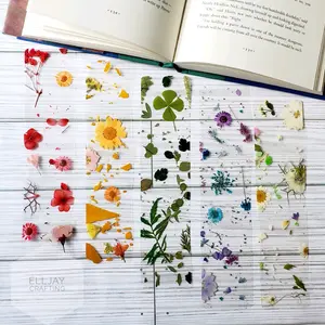 Real Pressed Flowers Transparent Floral Bookmark for Novels, Textbooks, Journals - Clear Flower Bookmark for Office Stationery & Supplies