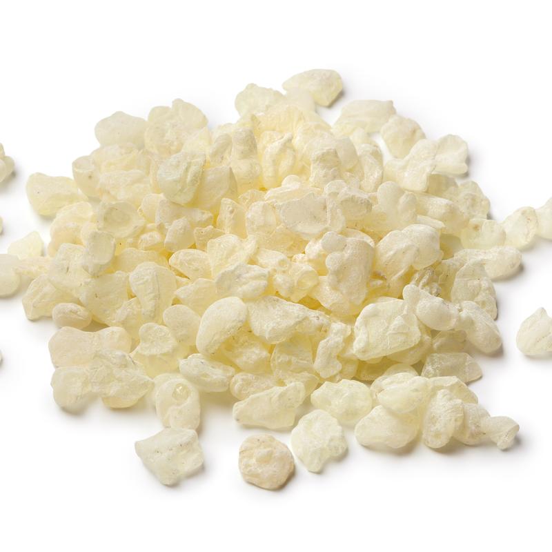 Slofoodgroup Mastic Gum Chios Mastiha from Greece
