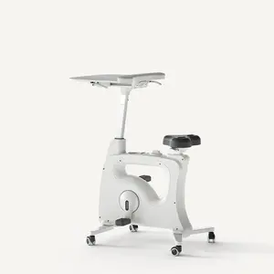 Flexispot Desk Bike V9