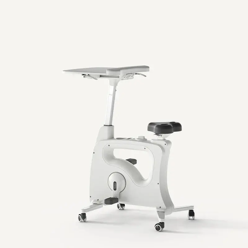 Flexispot Desk Bike V9